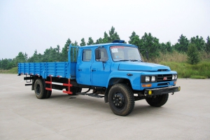 9米尖頭B證教練車(chē)圖片