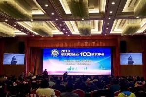 湖北民營(yíng)企業(yè)100強(qiáng)發(fā)布會(huì):程力汽車(chē)集團(tuán)2018年排名湖北百?gòu)?qiáng)4位