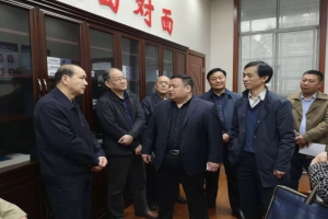 省人大常委會黨組副書記、副主任王建鳴率領(lǐng)領(lǐng)導(dǎo)班子及省直機關(guān)負(fù)責(zé)人蒞臨程力集團(tuán)指導(dǎo)工作