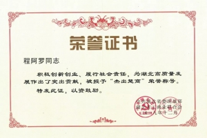 程力汽車集團(tuán)總經(jīng)理程阿羅榮膺2019年全球楚商大會杰出企業(yè)家榮譽(yù)稱號