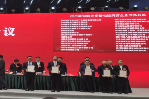 程力汽車集團總經(jīng)理程阿羅參加工商聯(lián)執(zhí)委會暨百家抗疫單位表彰會